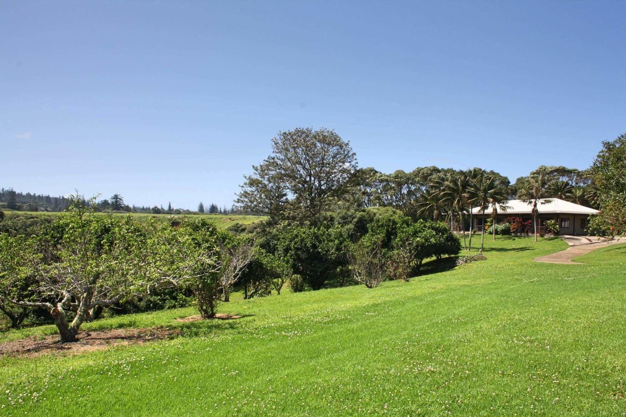 Hôtel Tau Gardens à Norfolk Island Extérieur photo